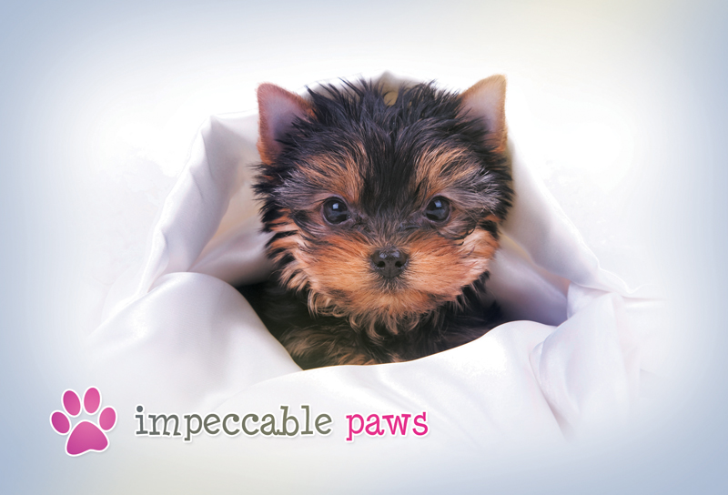 Printed handout card for a pet business